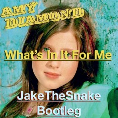 What's In It For Me - JakeTheSnake Bootleg