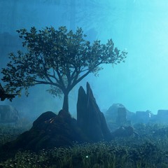 Winds of Magic