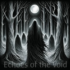 Echoes Of The Void