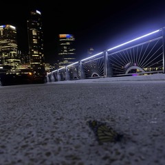 FlacoSolo -WoodHave  .m4a