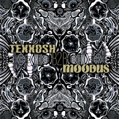 Tekkosh x moodus @ Hello Darkness Showcase 31.12.2024