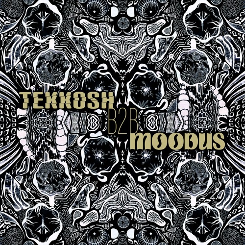 Tekkosh x moodus @ Hello Darkness Showcase 31.12.2024
