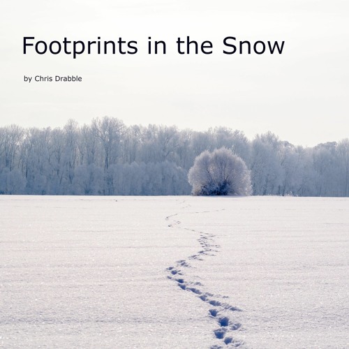 Footprints In The Snow