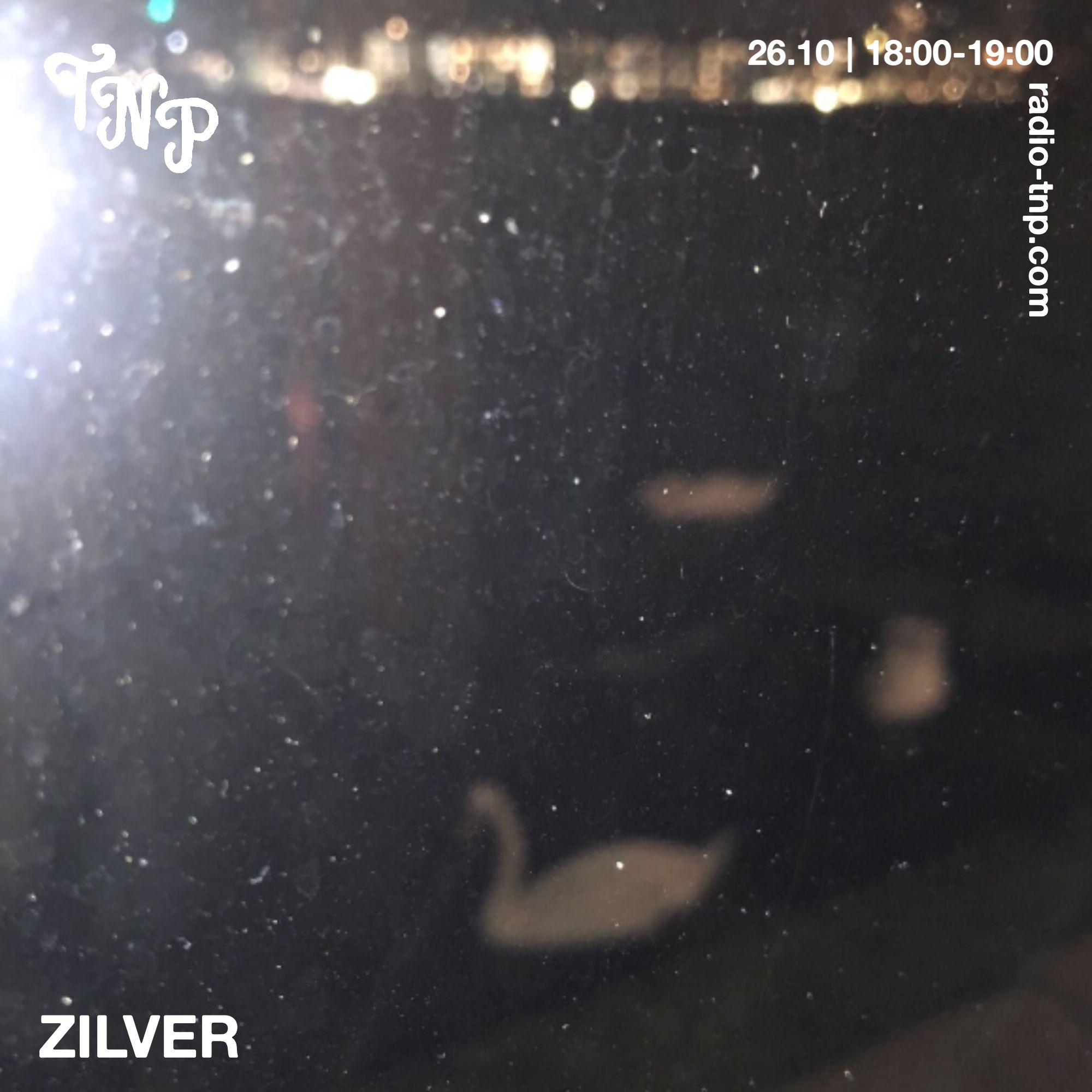 zilver