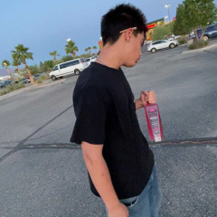 Checks ft.lostambitions