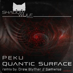 Peku - Quantic Surface (Original Mix)
