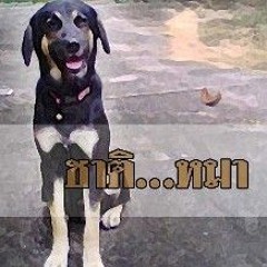 บักซาติหมาFreestyle