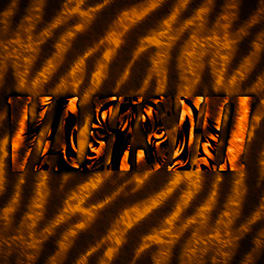 Vahshi [Prod. Ashkan]