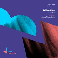 Taylan feat. okafuwa - Without You (Club Mix)