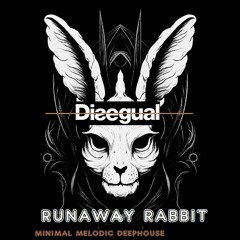 Runaway Rabbit - old deephouse style