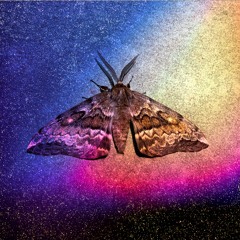 Minimal On Wax (Ole 14th April)