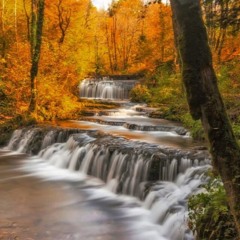 “Humeurs d’automne 2025 / Autumn moods 2025”.