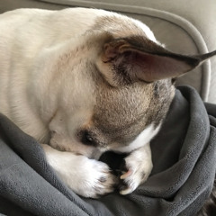 It Came Out Of The Sky