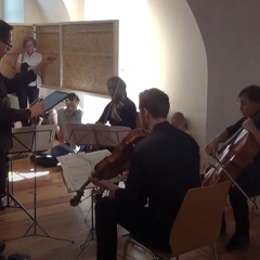 Subzero for String Quartet (2016)