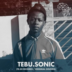 DHSA Podcast 066 : Tebu.Sonic [Redemial Sounds / Te.So Records]