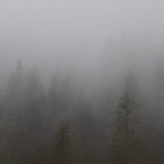 DELAY (Steve S. - 05.12.2025)