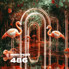 Sam Feldt - Heartfeldt Radio #486