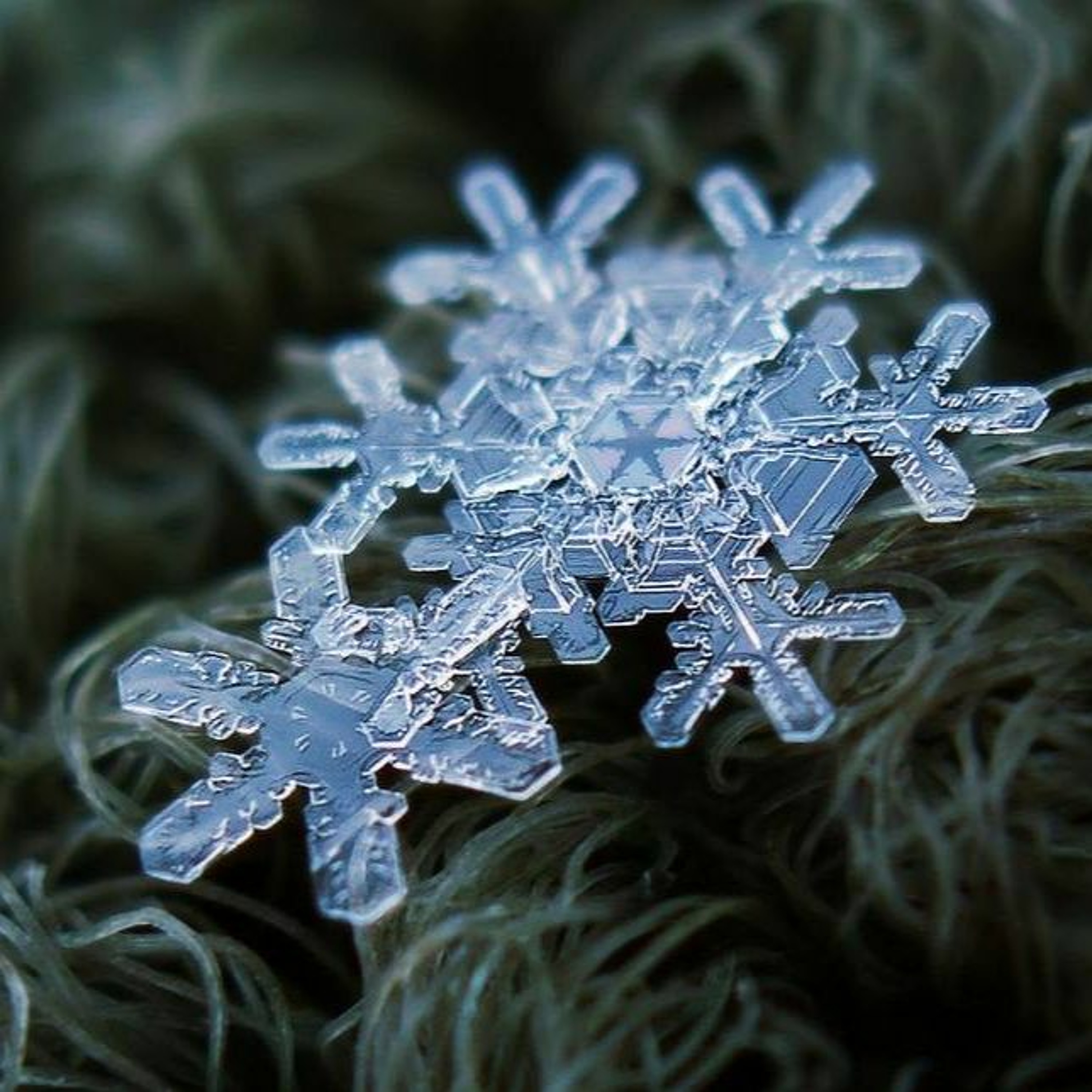 Suzanne Elizabeth Poole