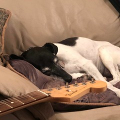 lunar dream 9 - our dog's lullaby