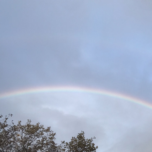 Feuy - Brrrr [EP FLè Sovaj]