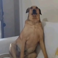 For fun - (prod. ww3nsy)