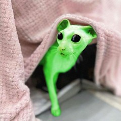 FevER + ceo big yapper + lil yung jit (1mint)