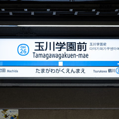 RED TAMAGAWA-GAKUEN MIX改良版