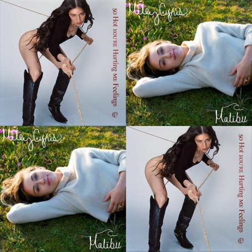 So Hot You're Hurting My Feelings x Malibu
