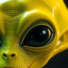 SCHWAKO - The Truth Spoken 2.0 (Drum and Bass)