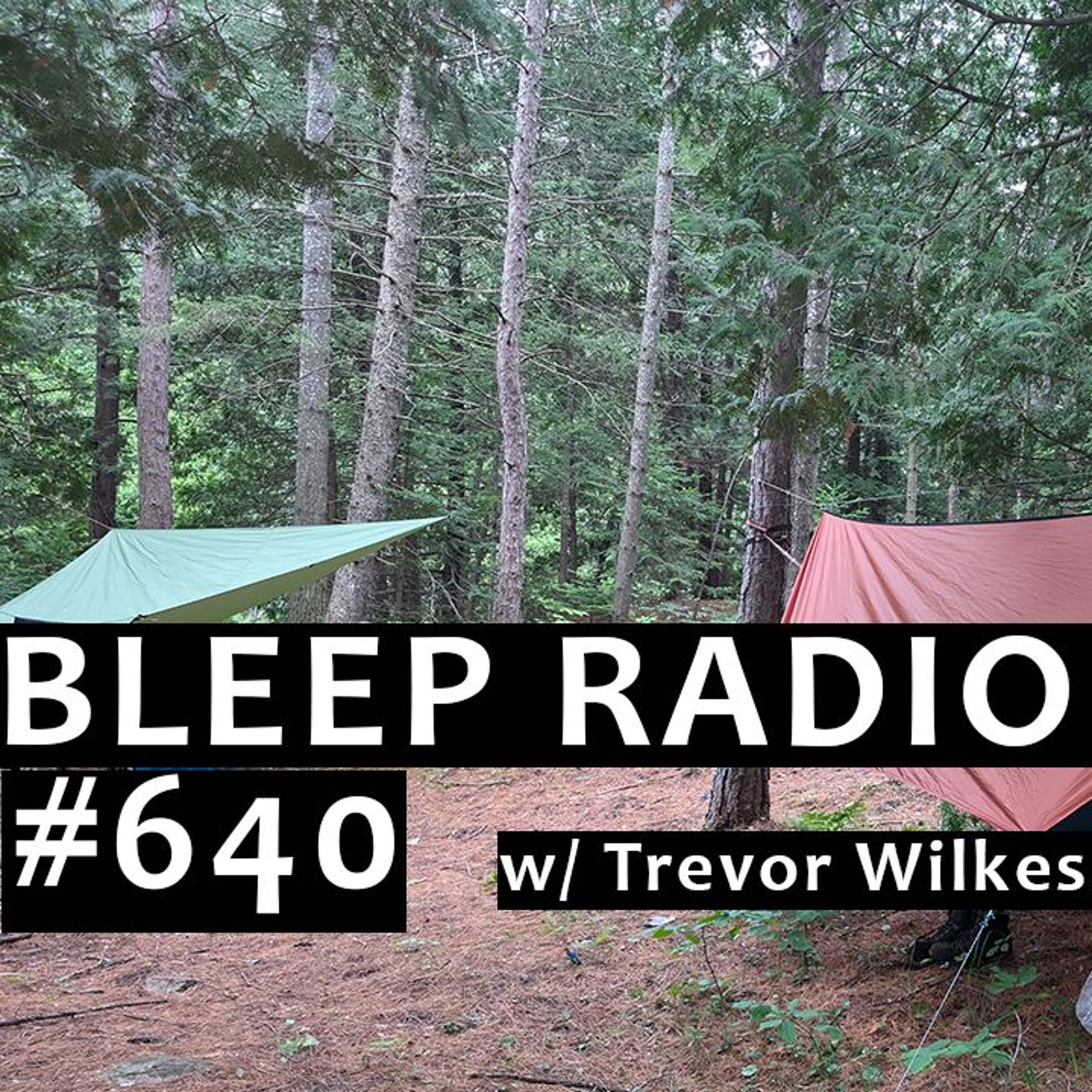Bleep Radio w/ Trevor Wilkes