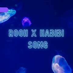 Rooh X Habibi Song