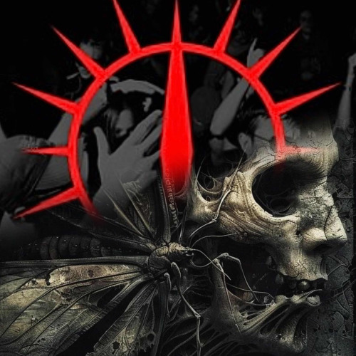 S̸Y̸S̸T̸E̸M̸ ☠️
