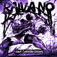 RAIVA NO BRASIL (Slowed Reverb Version)