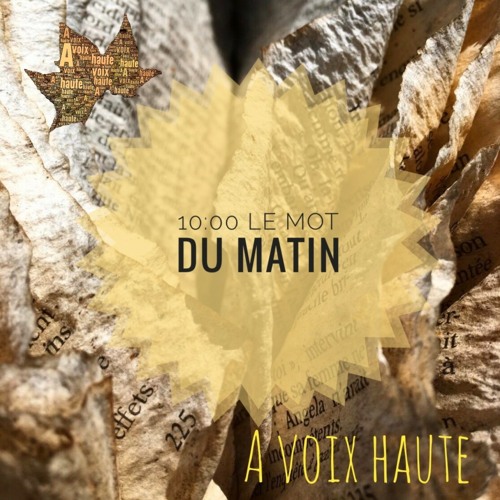 7 - LE MOT DU MATIN - Saint Exupery - Yannick Debain