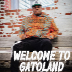 WELCOME TO GATOLAND VOL.1 MIXED BY EL GATO 11-2022