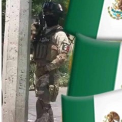 El Panin v2 - Yariel Lozano (Previo)