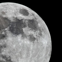 Rick Fox - Flight To The Moon