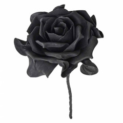 Black roses