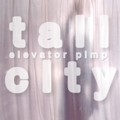 Elevator Pimp