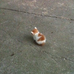 antent - homesick (slowed perfectly)