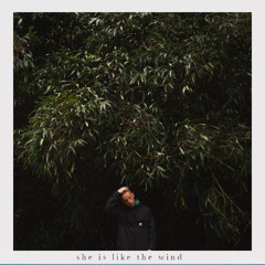 SHE IS LIKE THE WIND