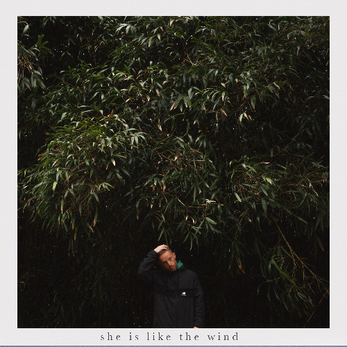SHE IS LIKE THE WIND