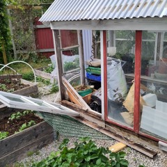 Summer composition 2023