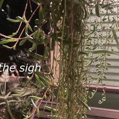 the sigh - the same