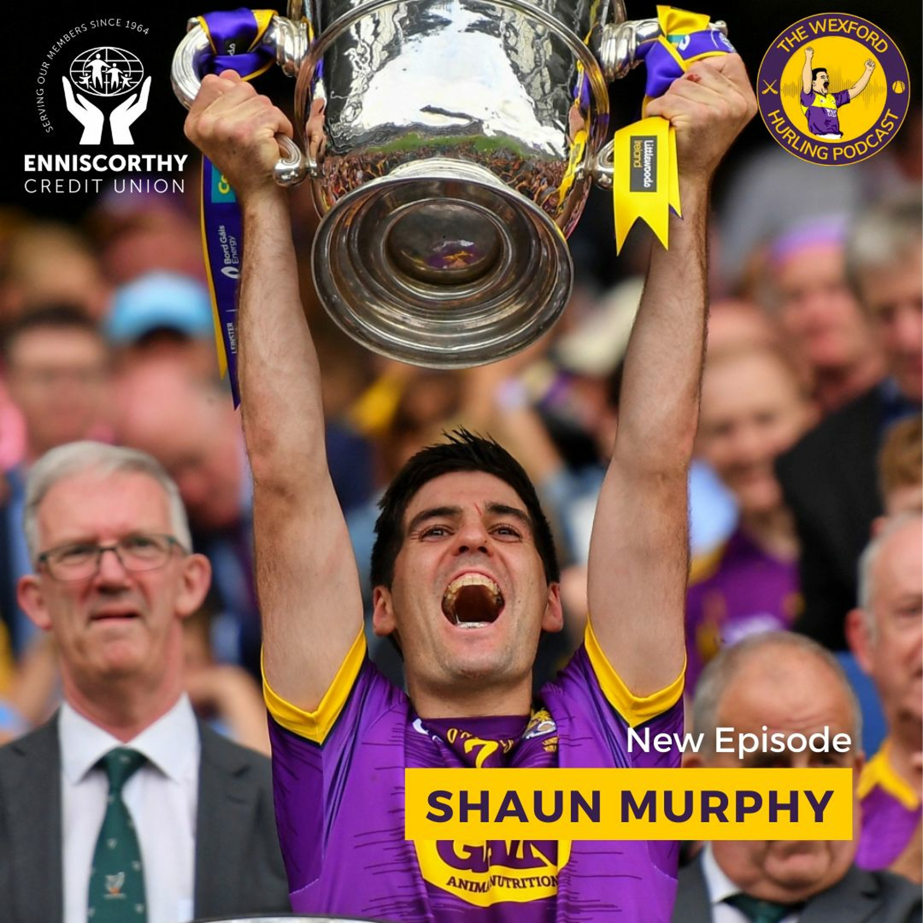 The Wexford Hurling Podcast