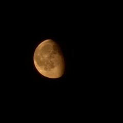 Steel the light form a moon
