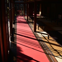 The Carpet Crawlers-Genesis (Cover)