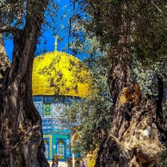 وما تدري .. العفاسي