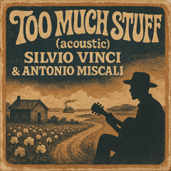 Too Much Stuff (acoustic alternate version )
