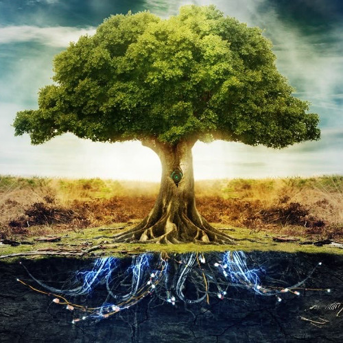 Stream Grass is always greener at the Greenside by That->Guy | Listen ...